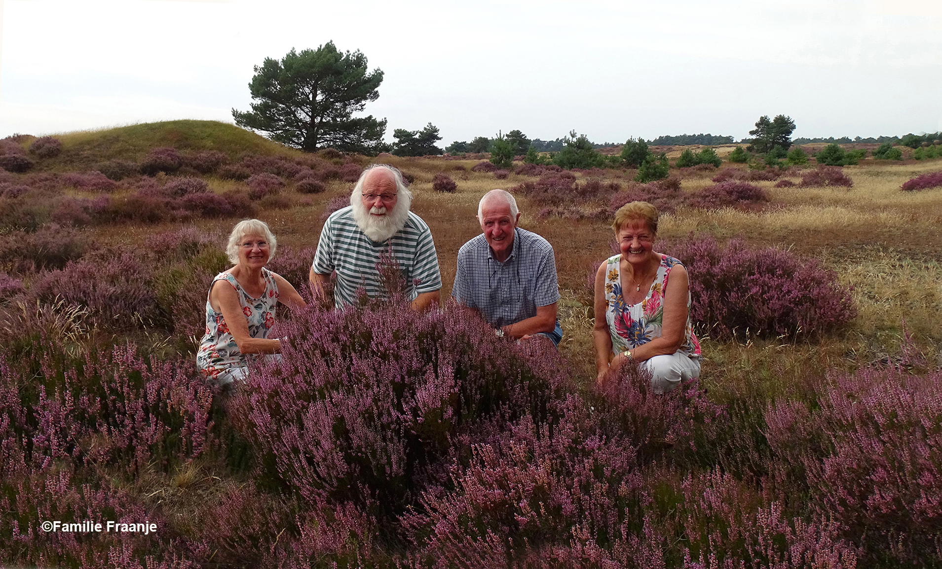 Veluwse natuurvrienden in de paars bloeiende heide op de Hoge Veluwe - Foto: ©Familie Fraanje