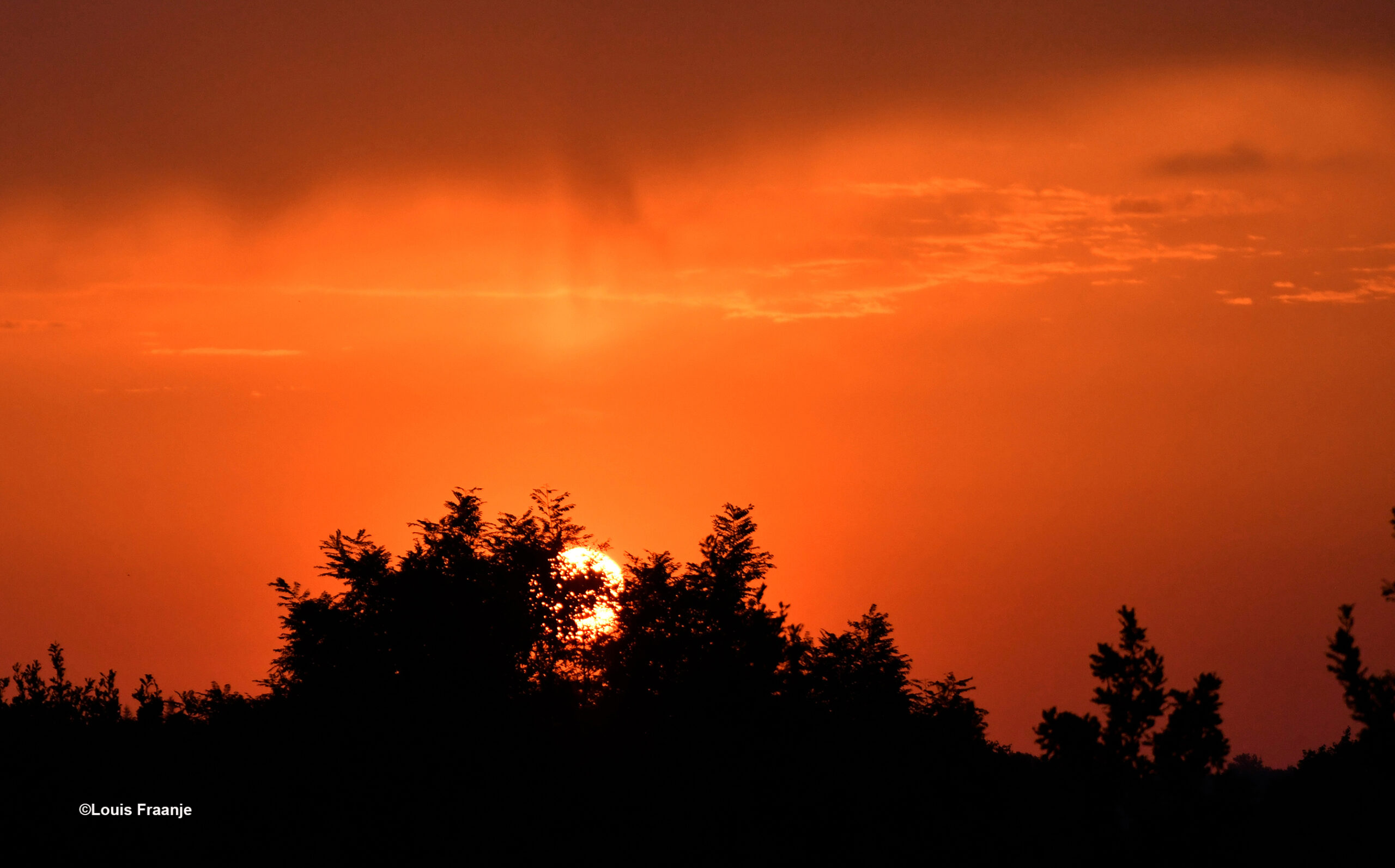 Om 06.35 uur verscheen de morgenzon boven de boomtoppen van het Veluwse bos - Foto: ©Louis Fraanje