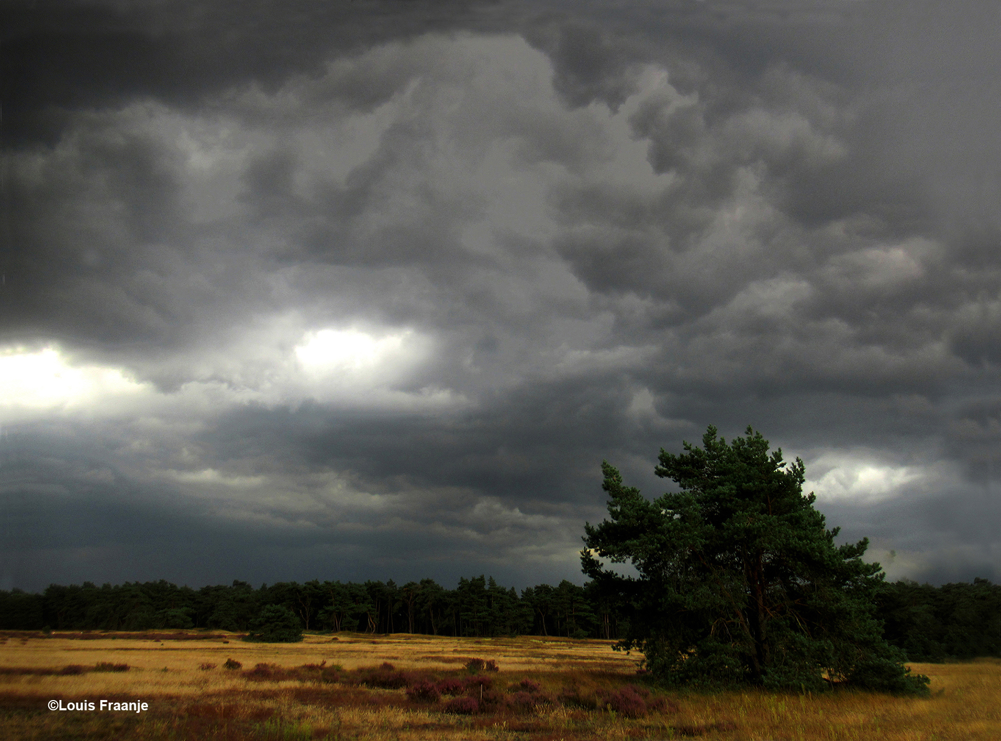 Zoiets blijft een machtig gezicht - Foto: ©Louis Fraanje