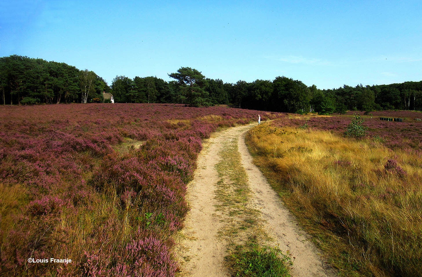 Hoe romantisch en sfeervol om je heidewandeling zo te mogen eindigen - Foto: ©Louis Fraanje