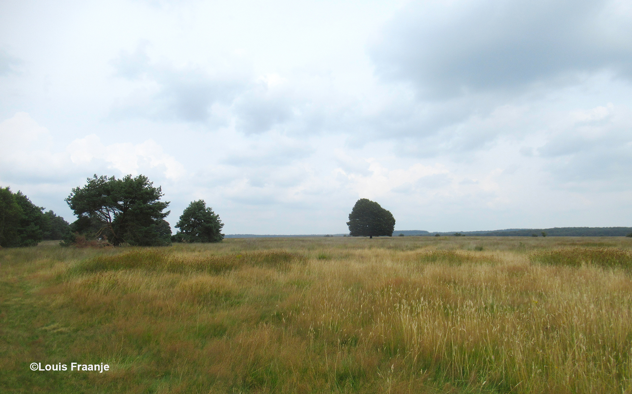 Genieten van de rust en ruimte van het uitgestrekte Deelense Veld - Foto: ©Louis Fraanje