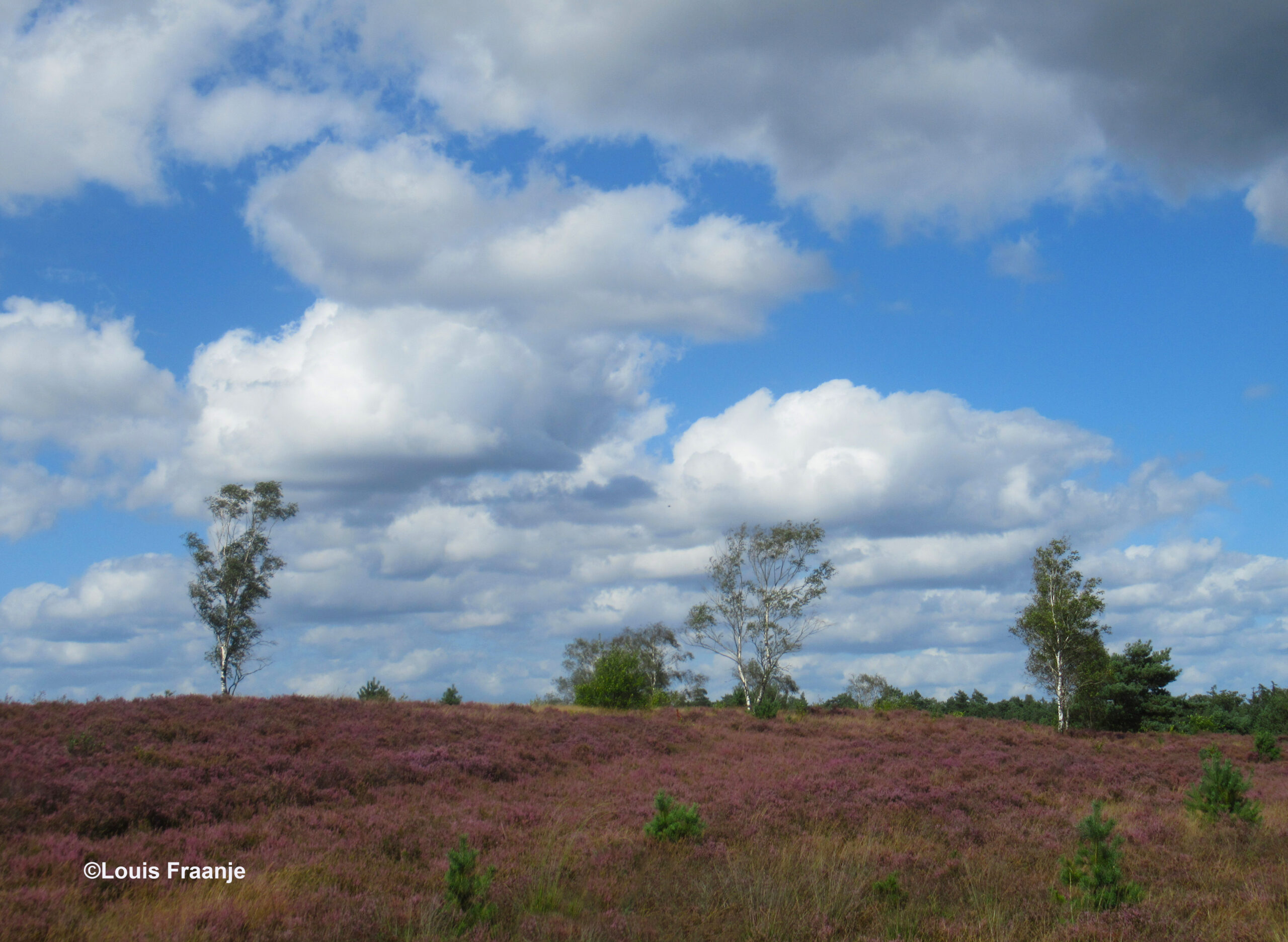 Weer verder langs de Regelbergen in de richting Assel - Foto: ©Louis Fraanje