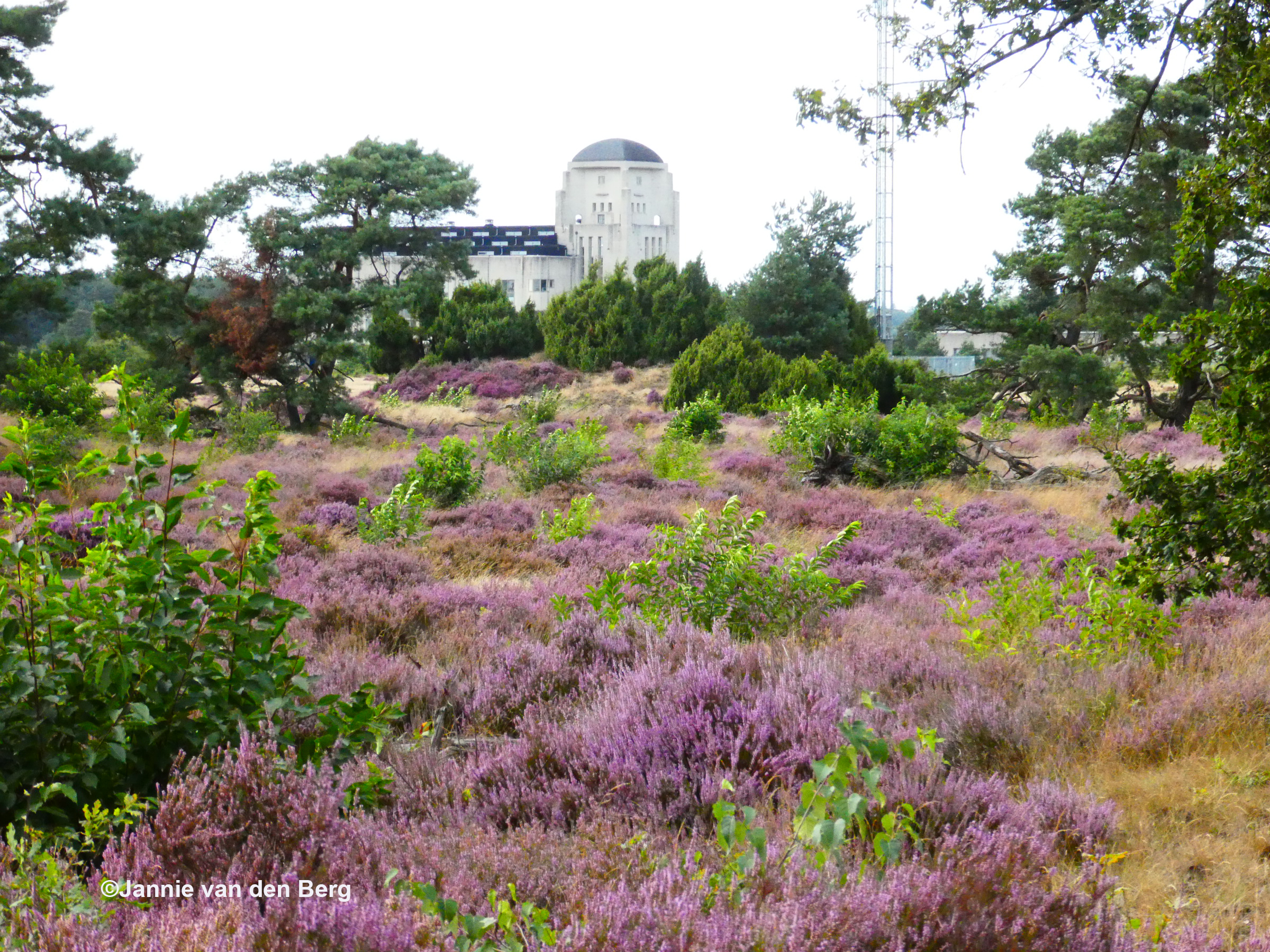  Even verderop hebben we een nog mooier uitzicht naar het zendgebouw - Foto: ©Jannie van den Berg