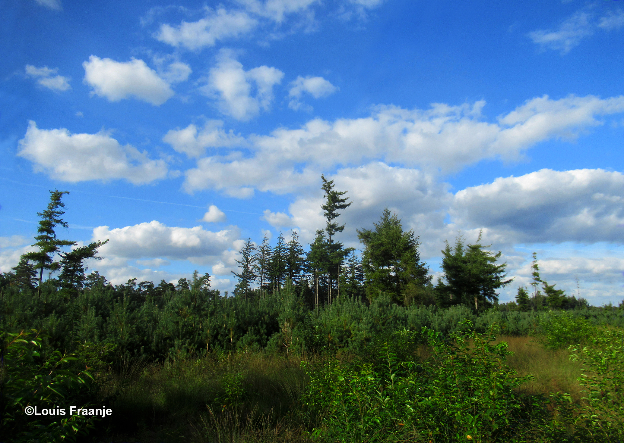 Afwisselend landschap met mooie wolkenluchten - Foto: ©Louis Fraanje