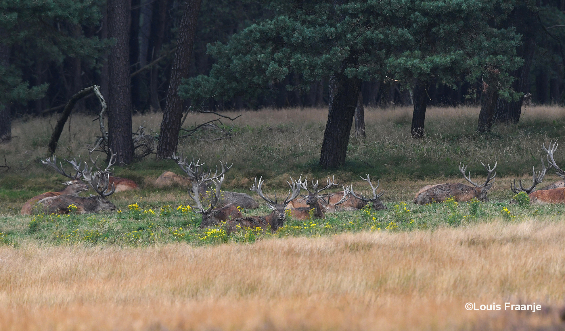 Blijkbaar speelde de hitte hier ook een rol - Foto: ©Louis Fraanje