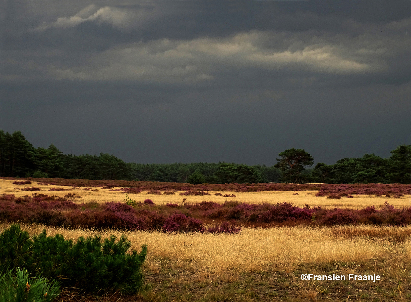 Aan de horizon verschijnen donkere en dreigende wolkenluchten - Foto: ©Fransien Fraanje