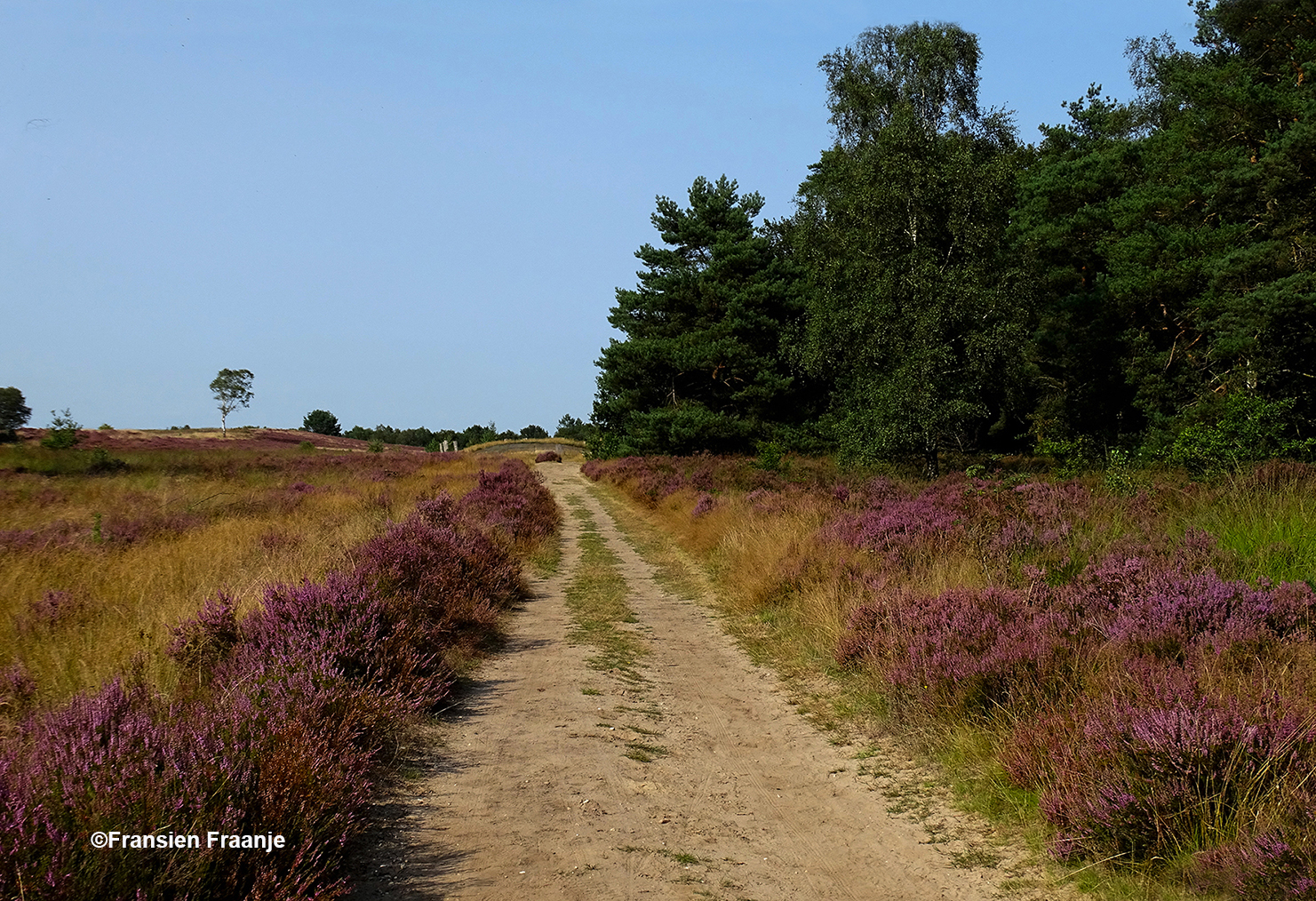 Met steeds weer een nieuw avontuur aan het eind van de  zandweg - Foto: ©Fransien Fraanje