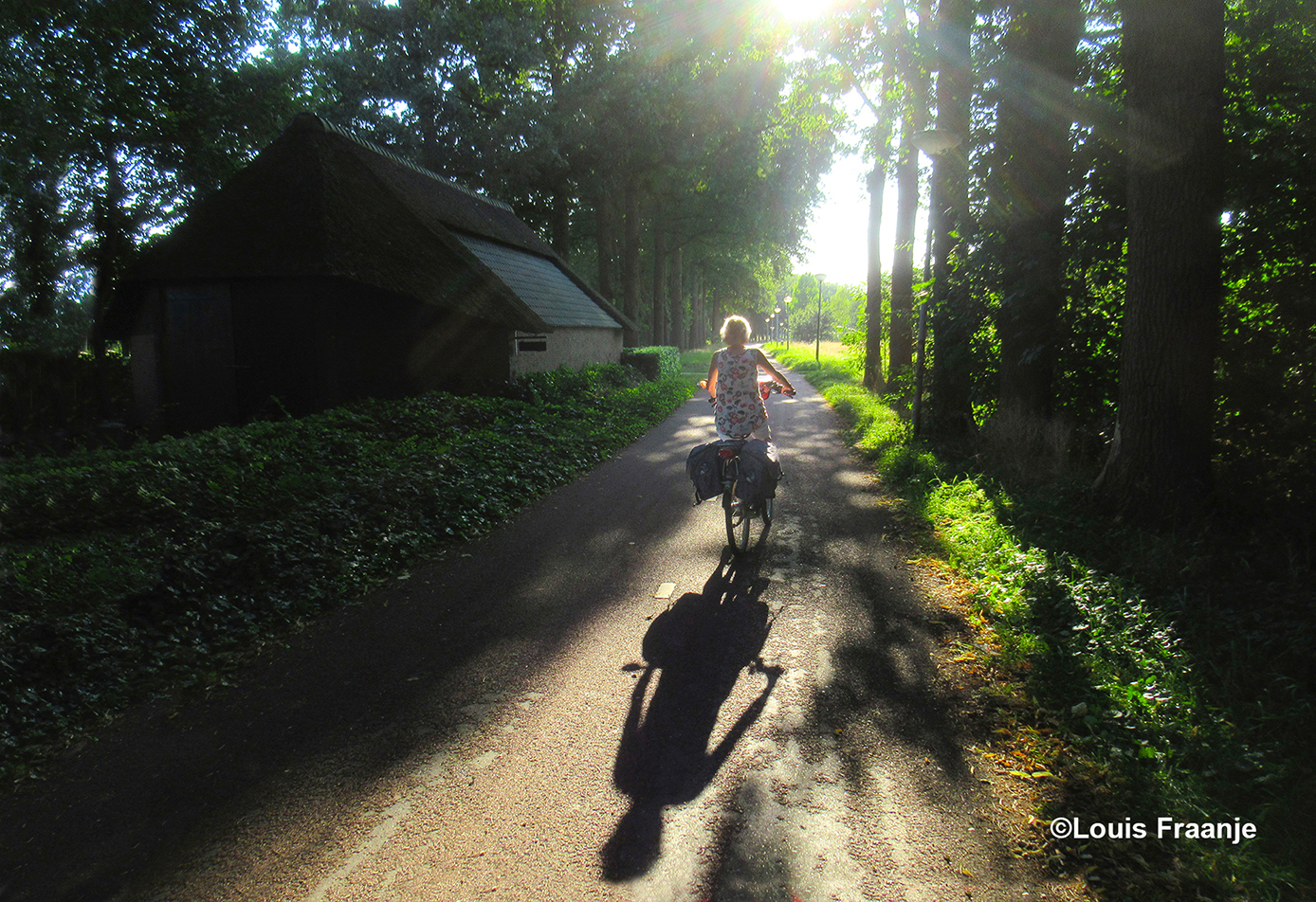 De avondzon belichtte nog even dwars door de boomtoppen heen de eenzame fietser - Foto: ©Louis Fraanje