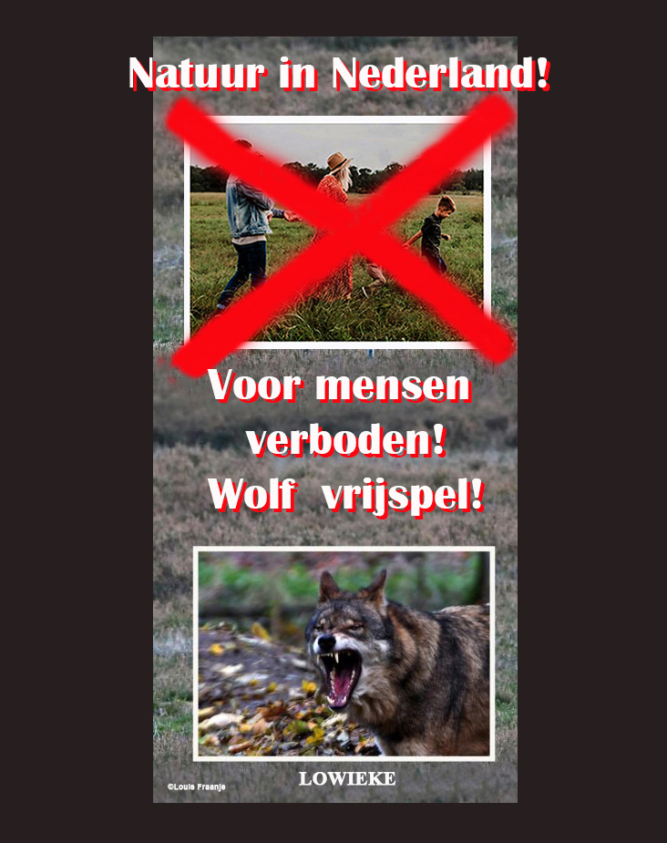 Natuur in Nederland, voor mensen verboden en wolf vrijspel! - Foto: ©Louis Fraanje