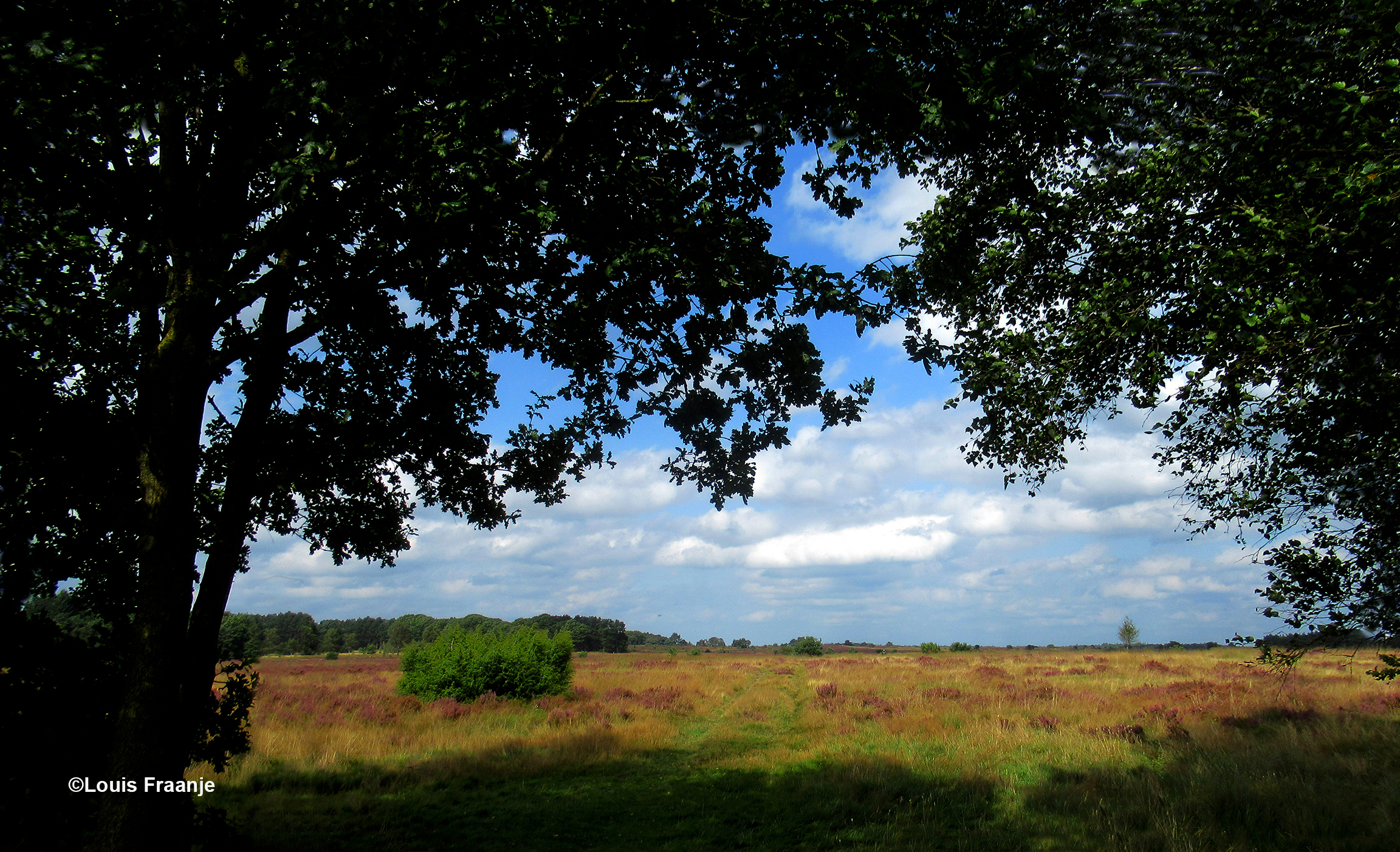 Een prachtig doorkijkje naar de Elspeetse Heide - Foto: ©Louis Fraanje