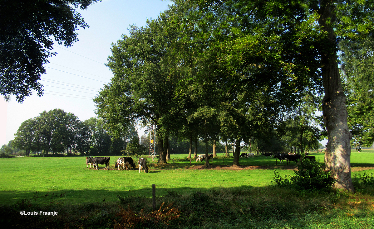 Een heerlijk nazomersfeertje in het boerenland bij Lunteren - Foto: ©Louis Fraanje