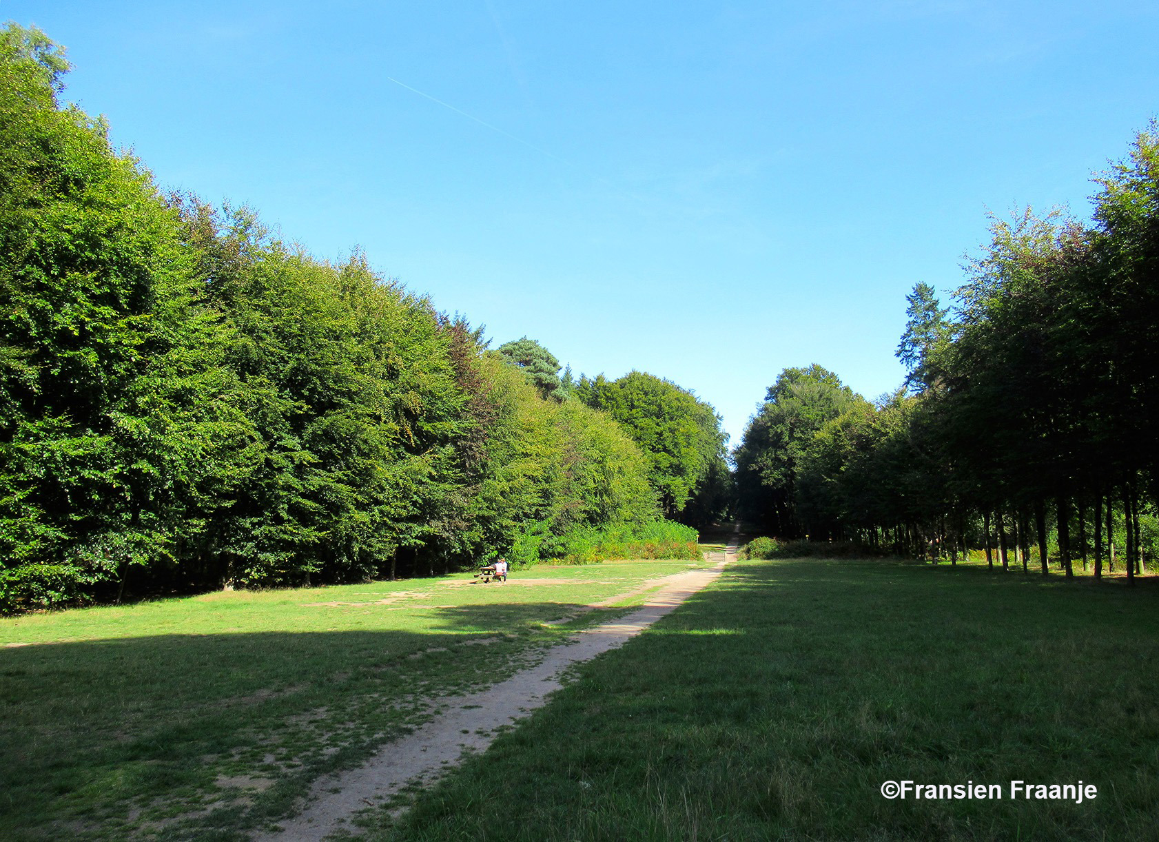 Dit is de zichtas. U heeft hier een fraai uitzicht op kasteel Hoekelum. Op de heuvel, waar het bankje staat, heeft vroeger waarschijnlijk een uitzichttoren gestaan.- Foto: ©Fransien Fraanje