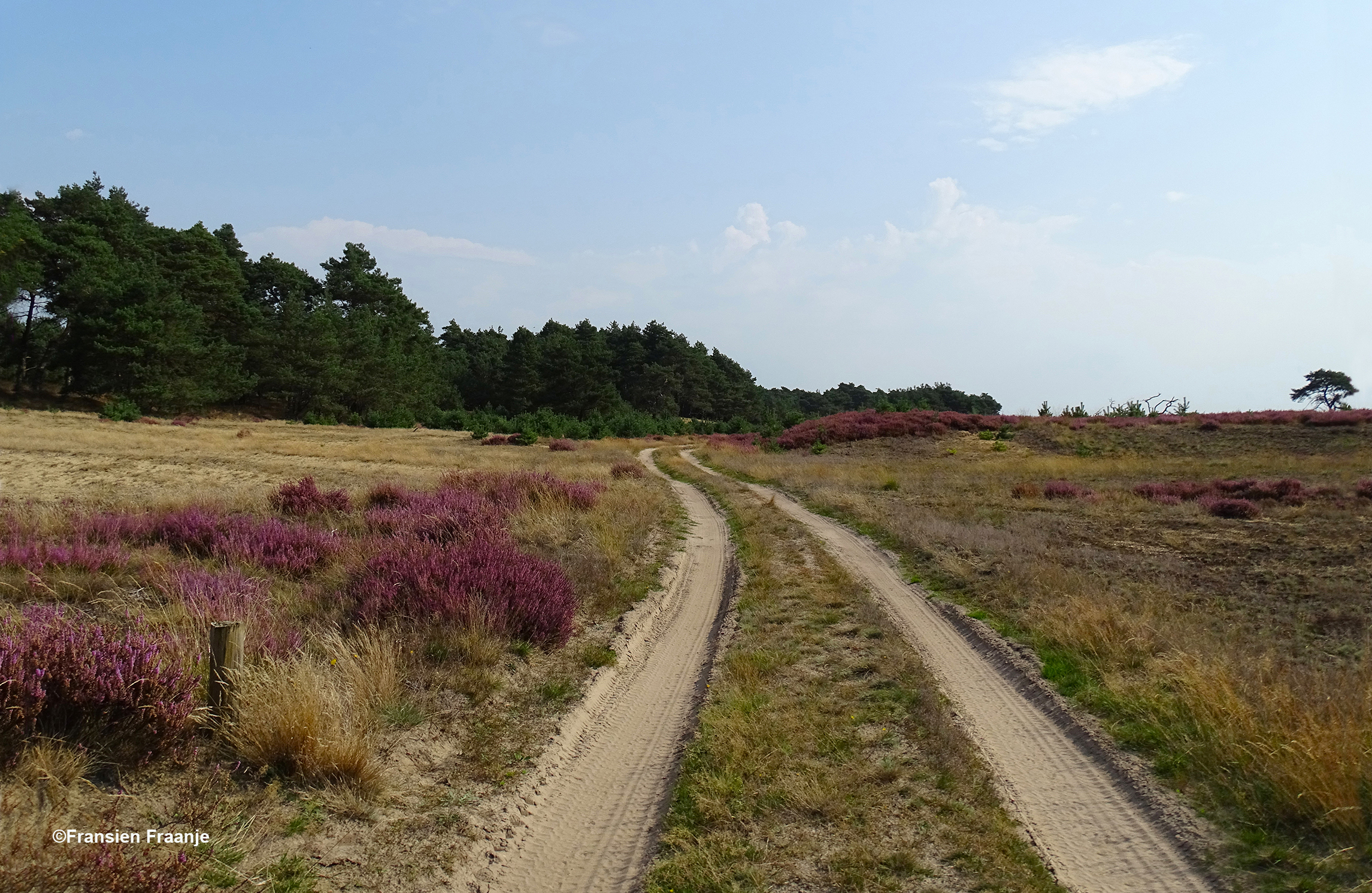 De sfeer van oude zandwegen blijft zichtbaar en voelbaar - Foto: ©Fransien Fraanje