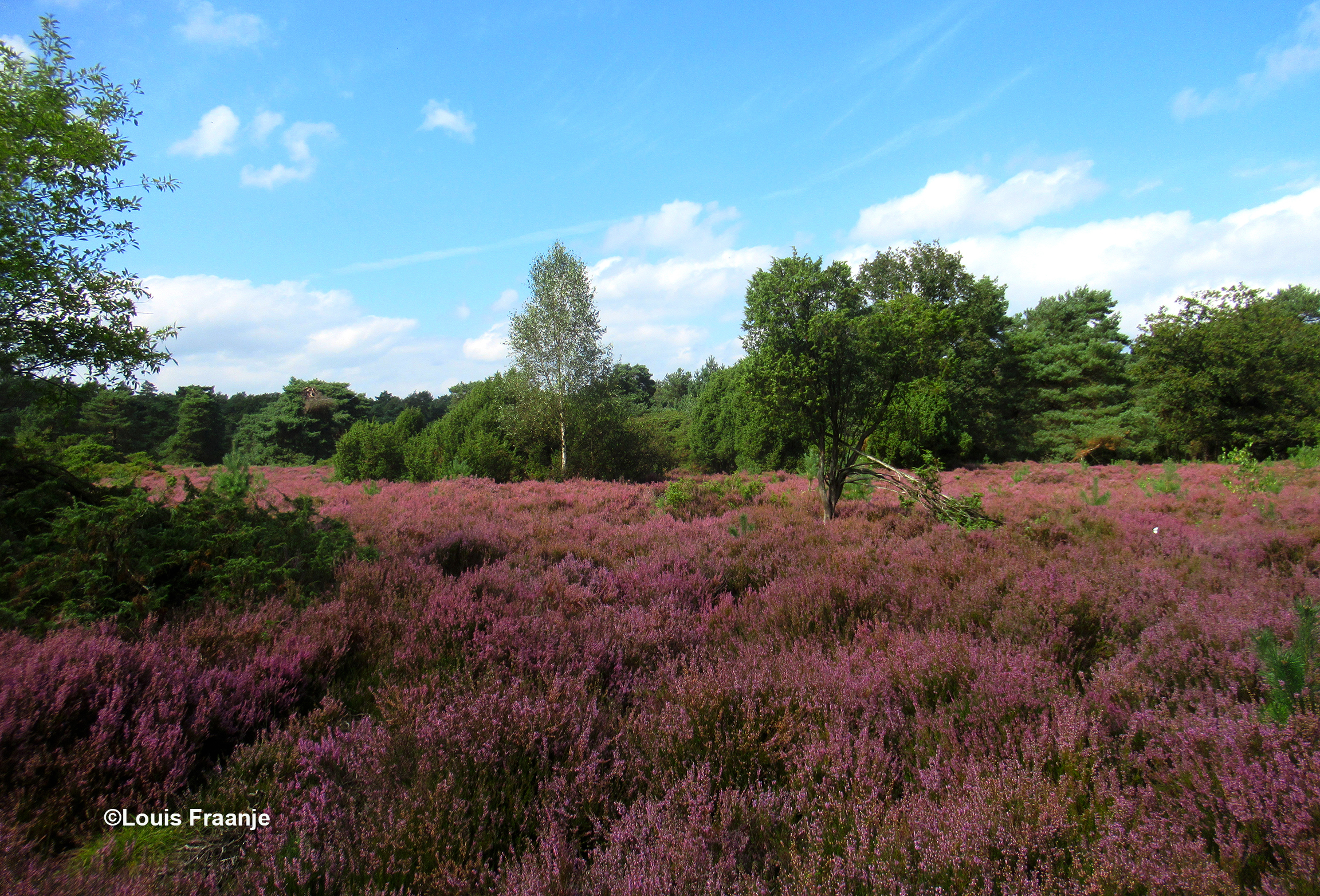 Het is hier een oase van rust - Foto: ©Louis Fraanje