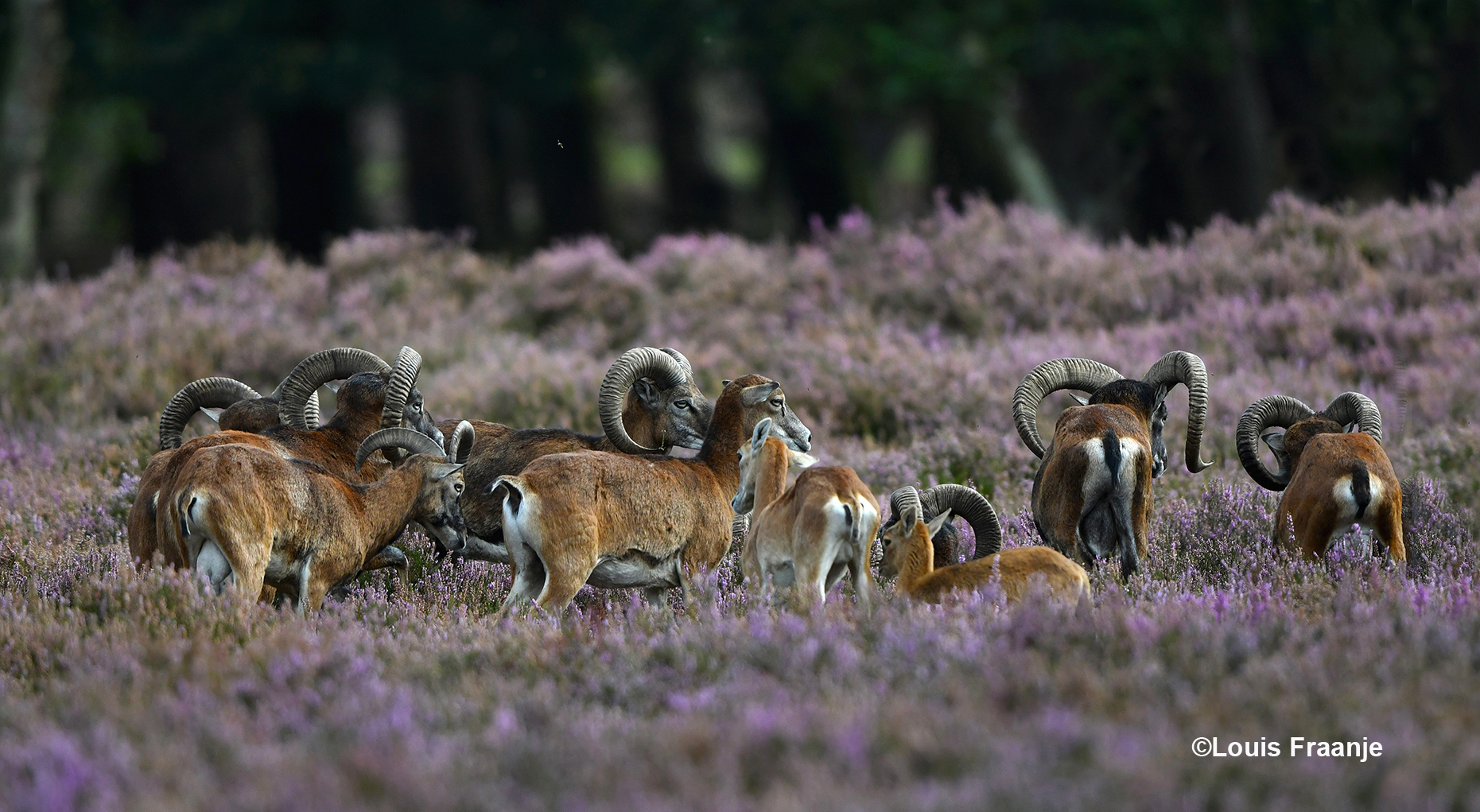 Het is en blijft 'opletten' geblazen, want je weet maar nooit - Foto: ©Louis Fraanje