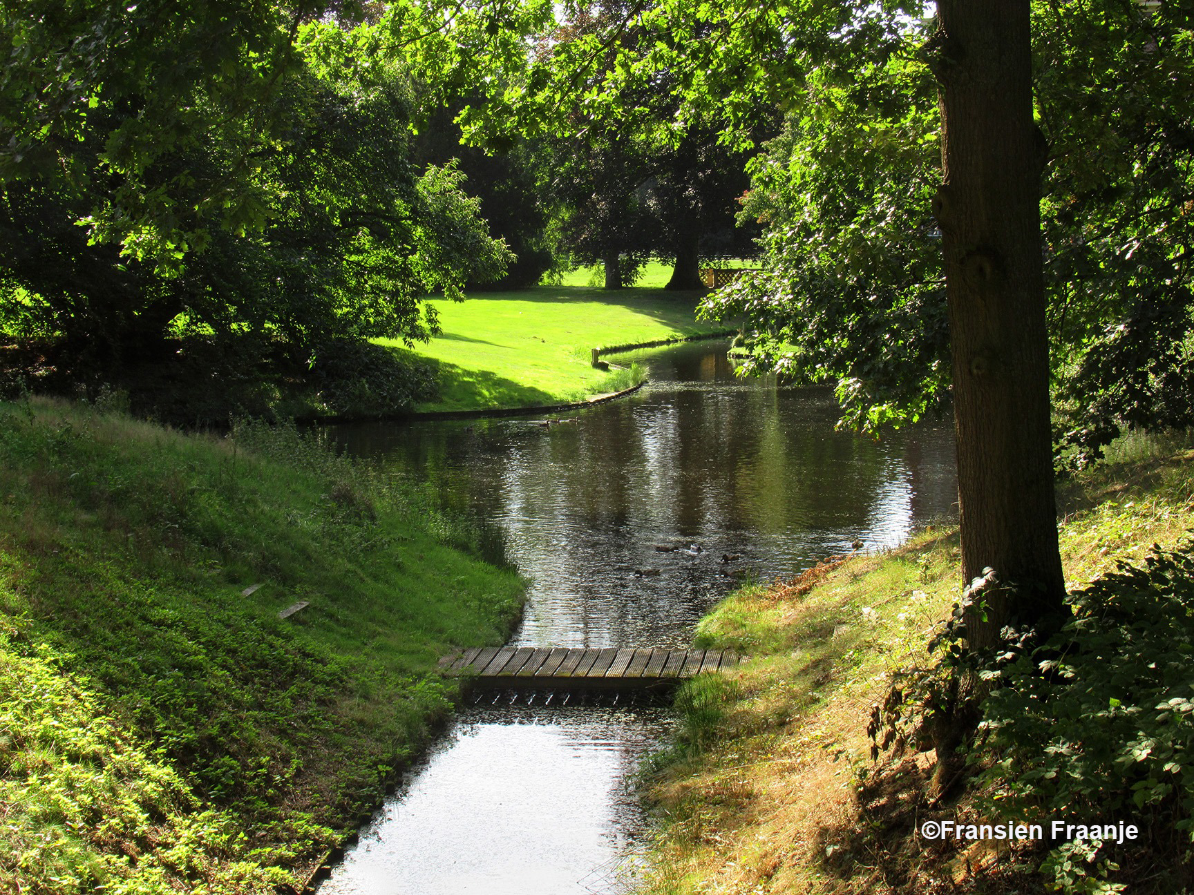 Het water van de gracht rondom kasteel Hoeckelum komt van een spreng in het bos - Foto: ©Fransien Fraanje