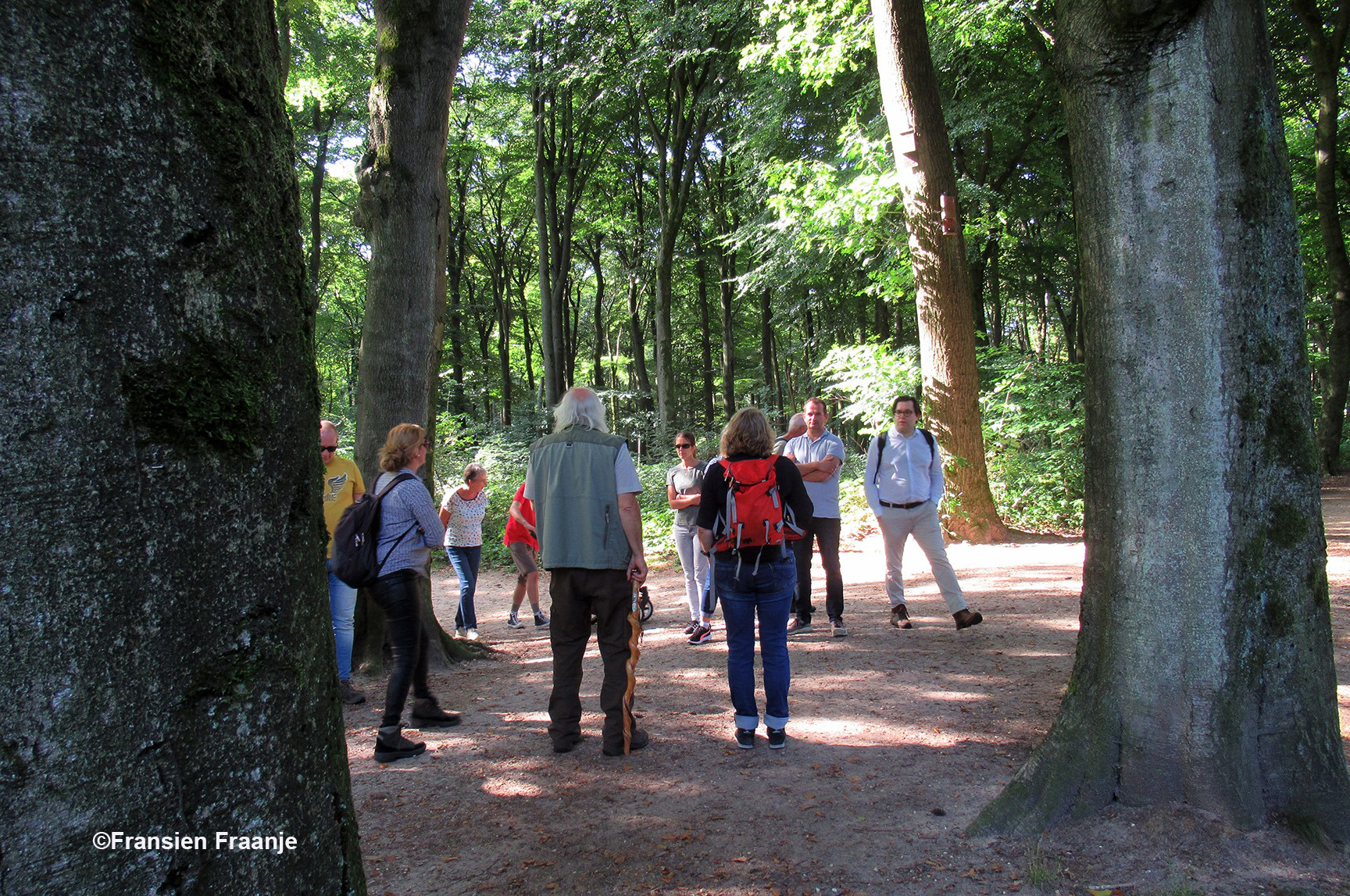 Hier staat de groep op de Laarder allee, een laan met fraaie beuken: Deze laan is de oude oostgrens van het parkachtige gedeelte van het landgoed. Vroeger was dit tevens de doorgaande weg van Wageningen naar Ede. -Foto: ©Fransien Fraanje