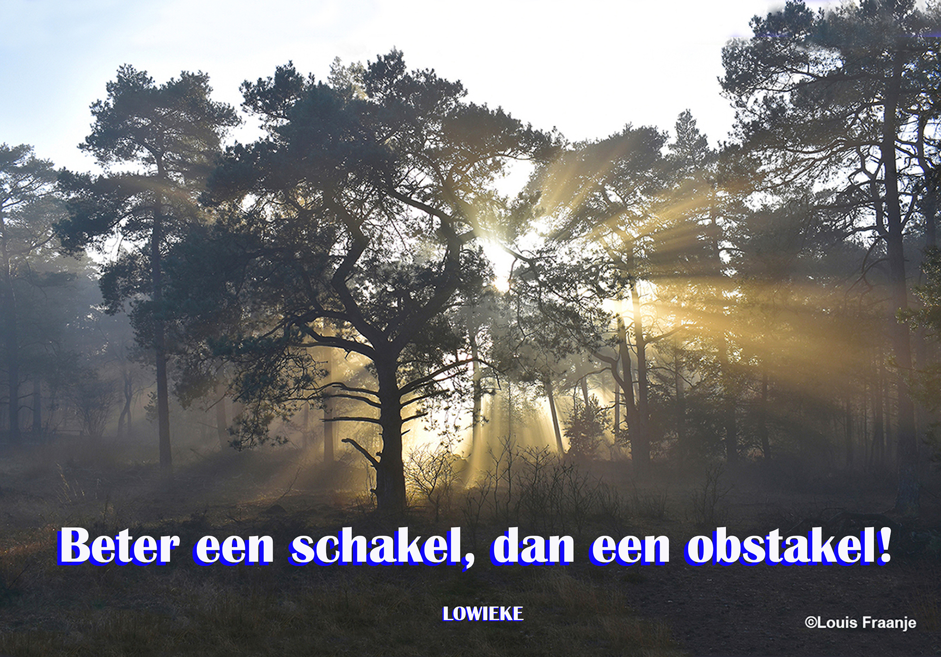 Het zonlicht doorbreekt de mist - Tekst en foto: ©Louis Fraanje