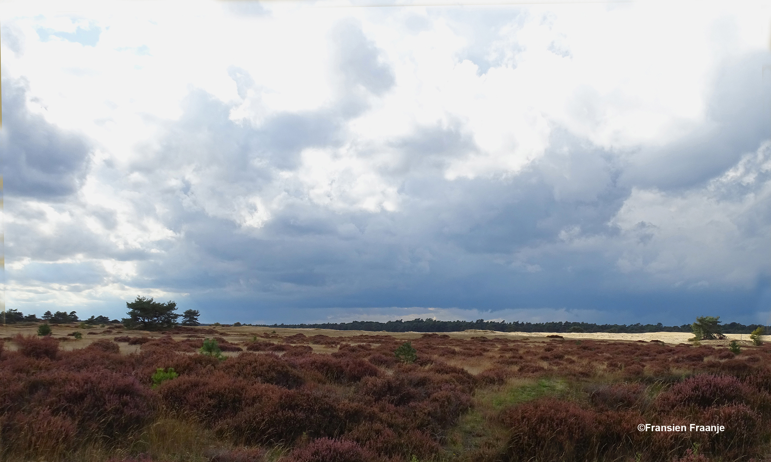 Het Veluwse landschap van heide en stuifzand - Foto: ©Fransien Fraanje