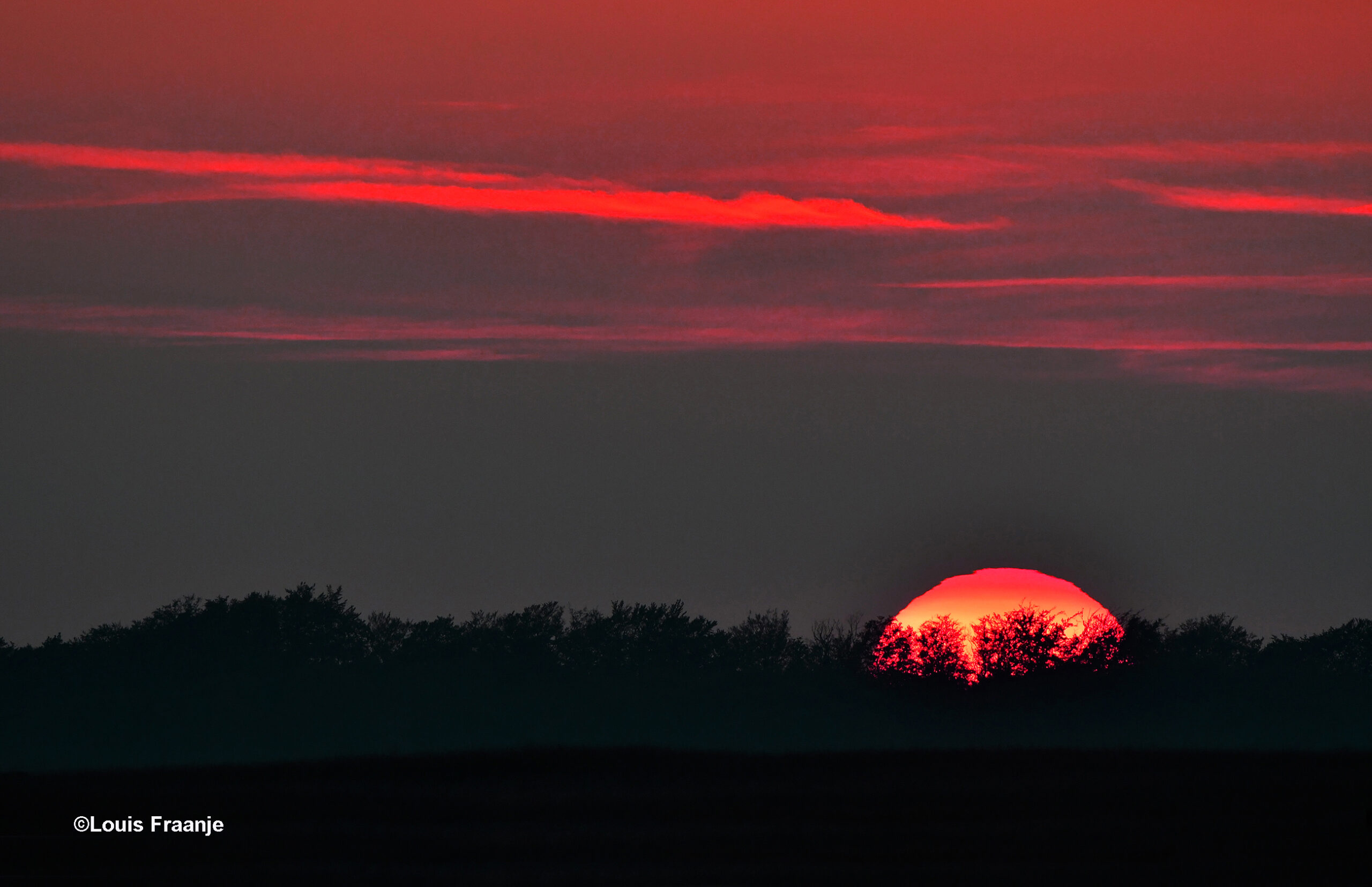 Langzaam zakt de avondzon achter de Veluwse bossen - Foto: ©Louis Fraanje