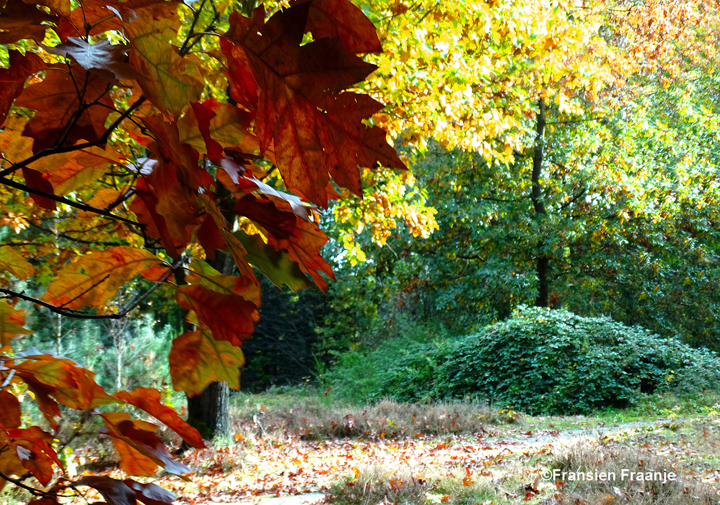 Prachtig doorkijkje van donker naar licht - Foto: ©Fransien Fraanje