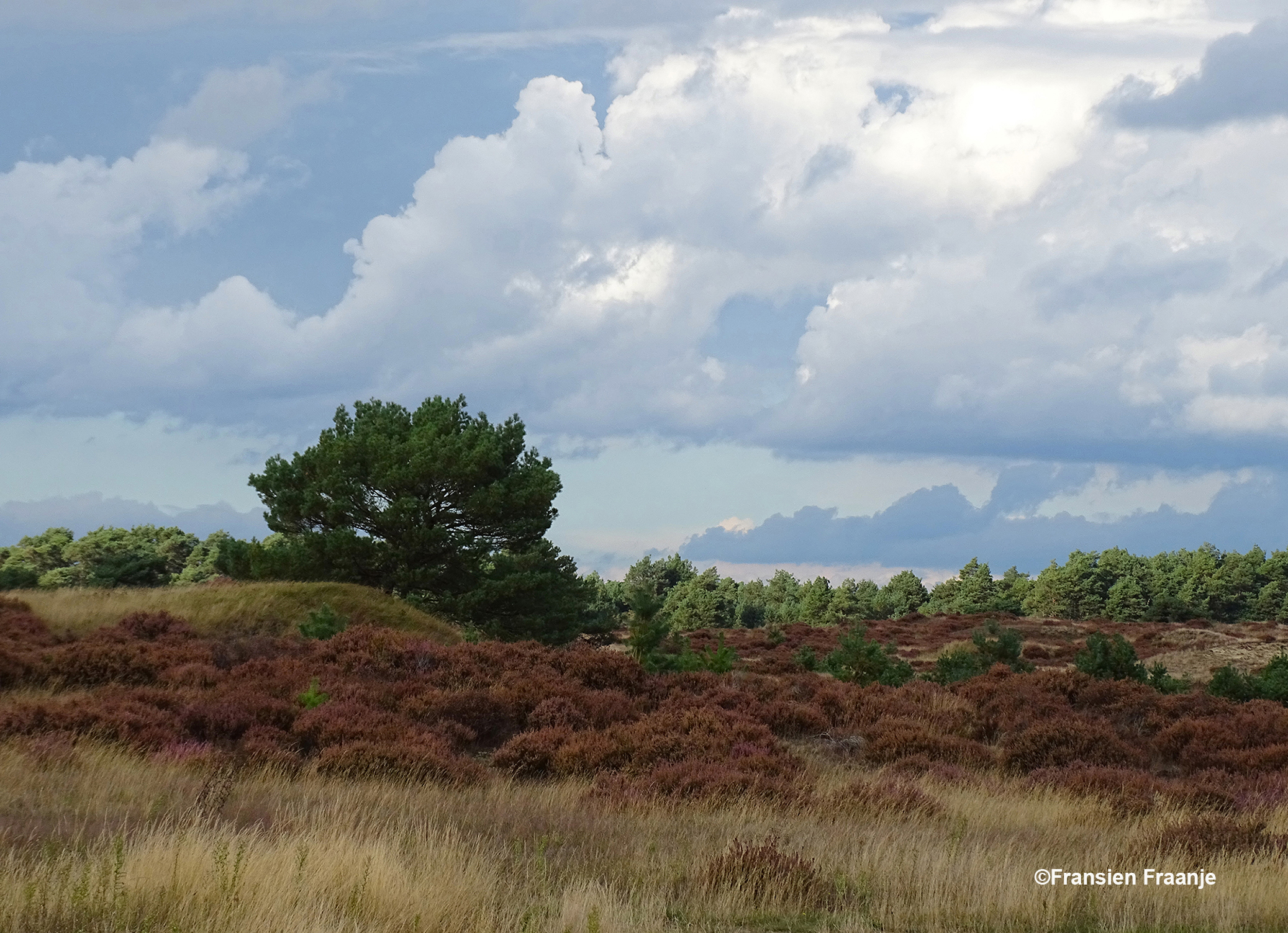 Met een steeds weer wisselend decor - Foto: ©Fransien Fraanje