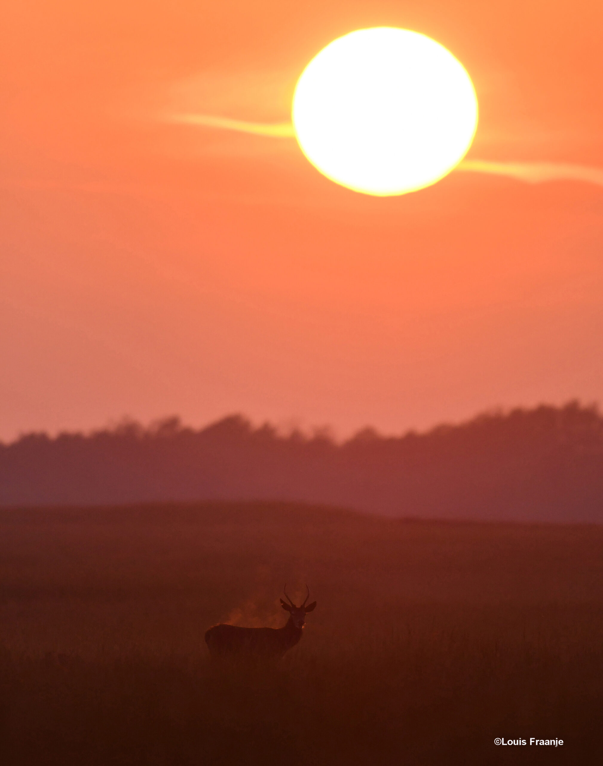 De spitser staat onder de zon, je ziet duidelijk de damp er vanaf komen - Foto: ©Louis Fraanje