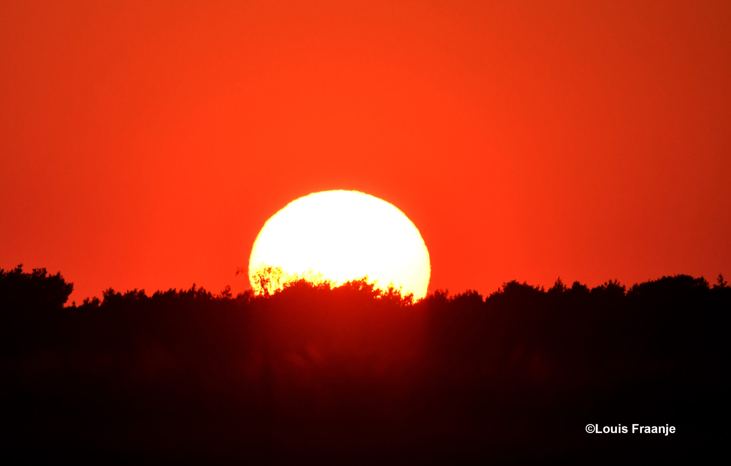 Zonsondergang aan de horizon van het Veluwse bos - Foto: ©Louis Fraanje.