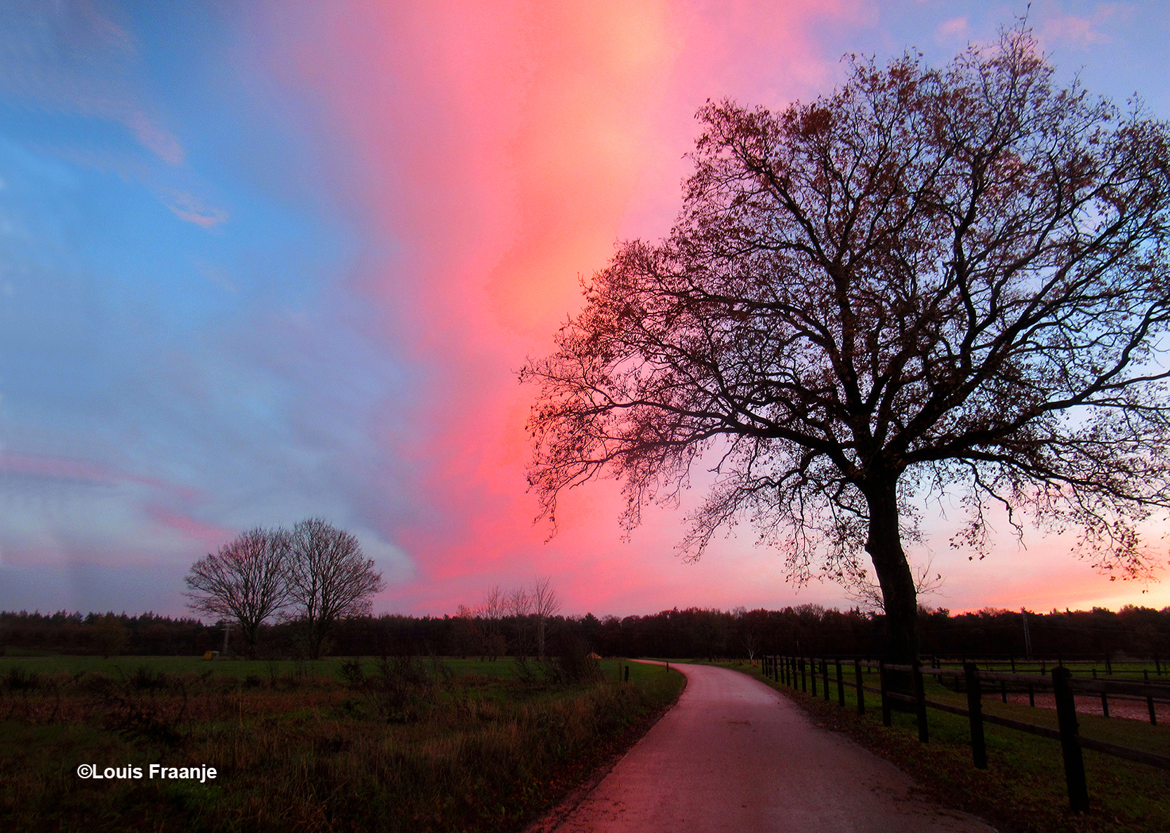 Nu wat meer in de open ruimte op de Doesburger Molenweg bij Ede - Foto: ©Louis Fraanje