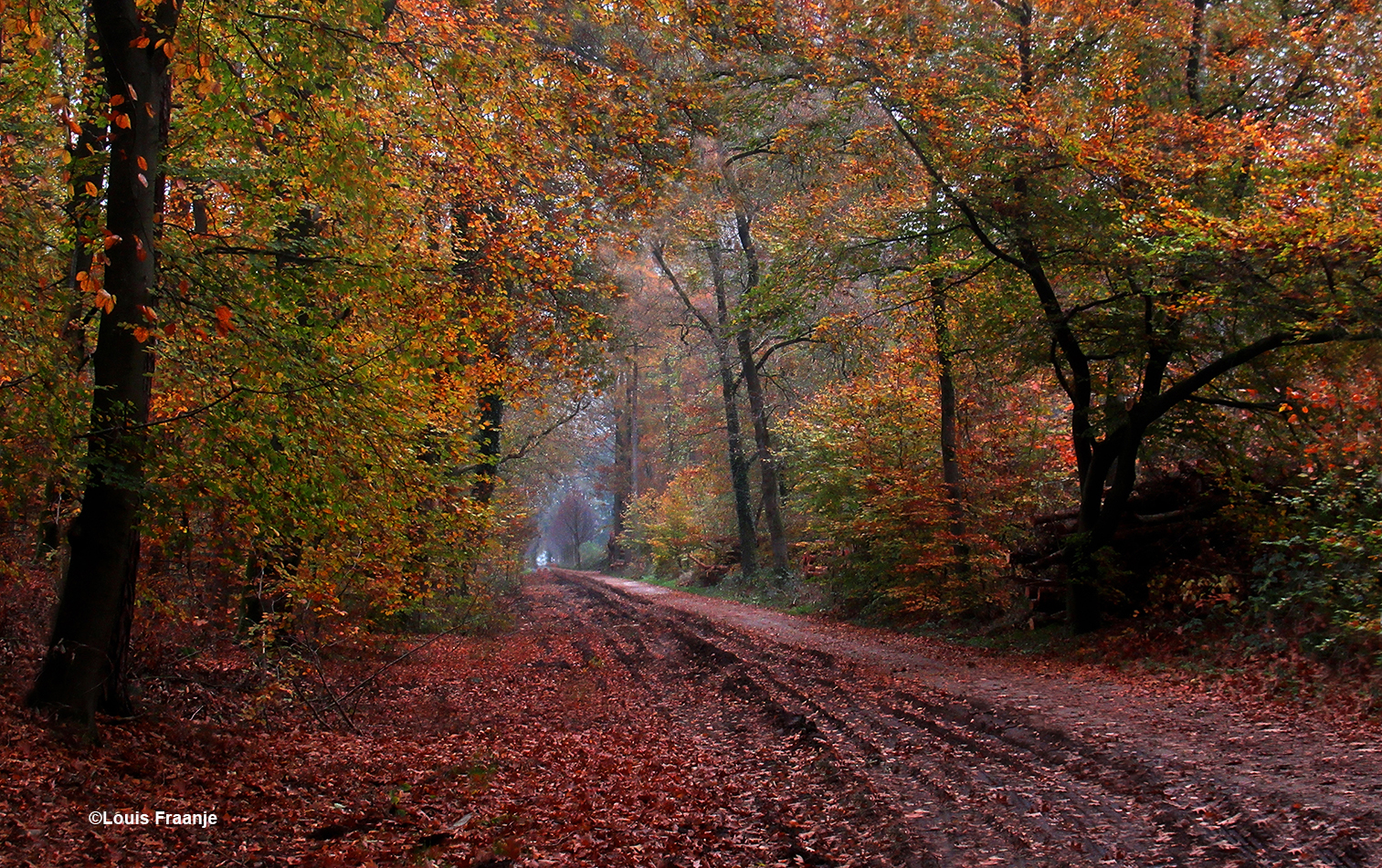 Oude karweg in de omgeving Klarenbeek - Foto: ©Louis Fraanje