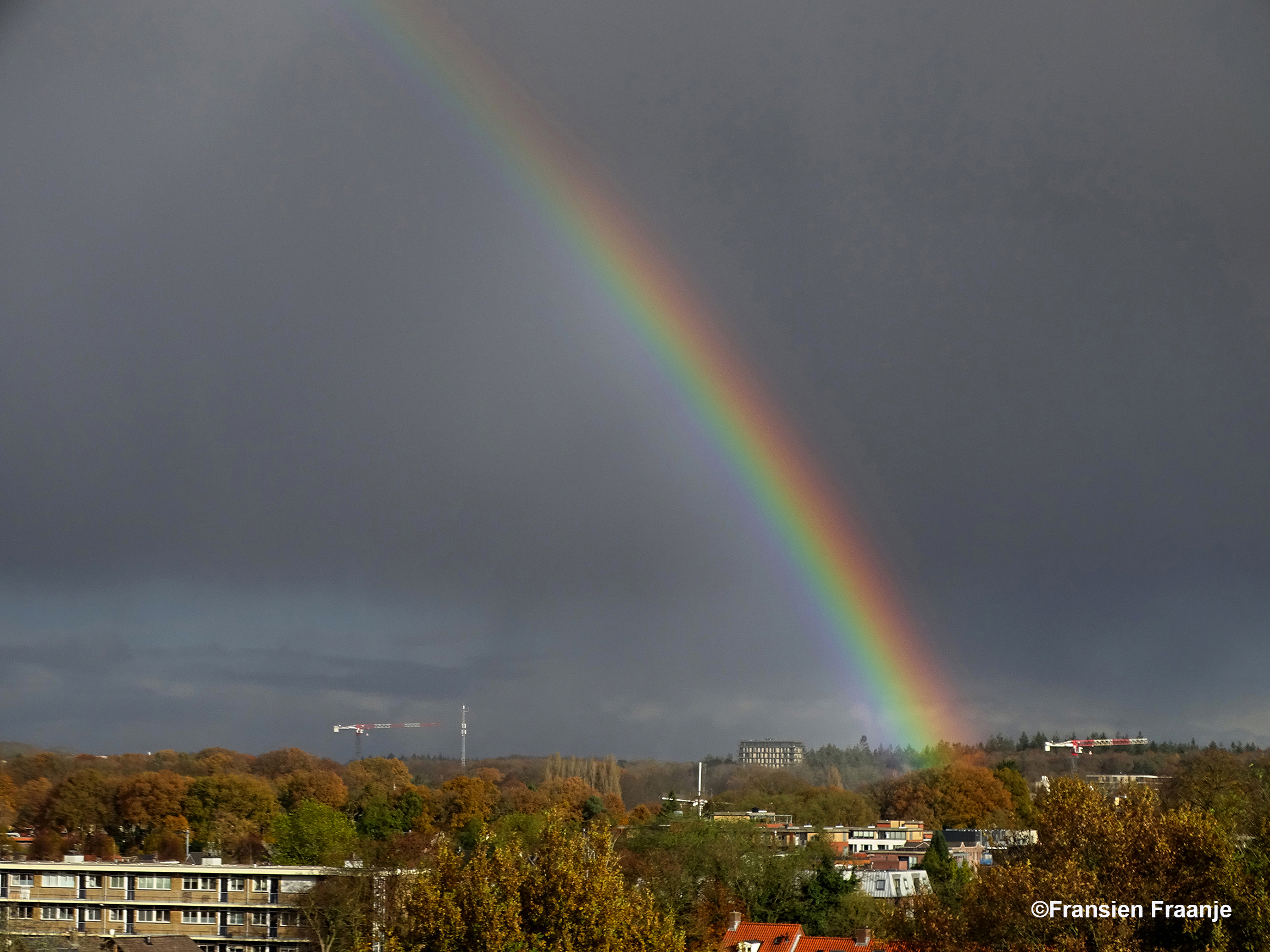 Zo zien we hem aan de andere kant - Foto: ©Fransien Fraanje