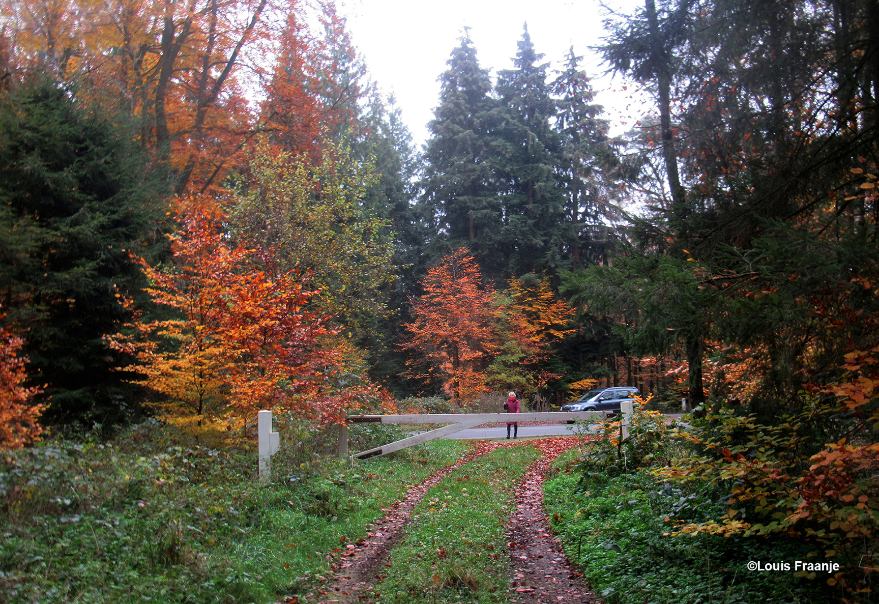  Fransien staat te wachten achter deslagboom tussen de prachtige herfstkleuren - Foto: ©Louis Fraanje