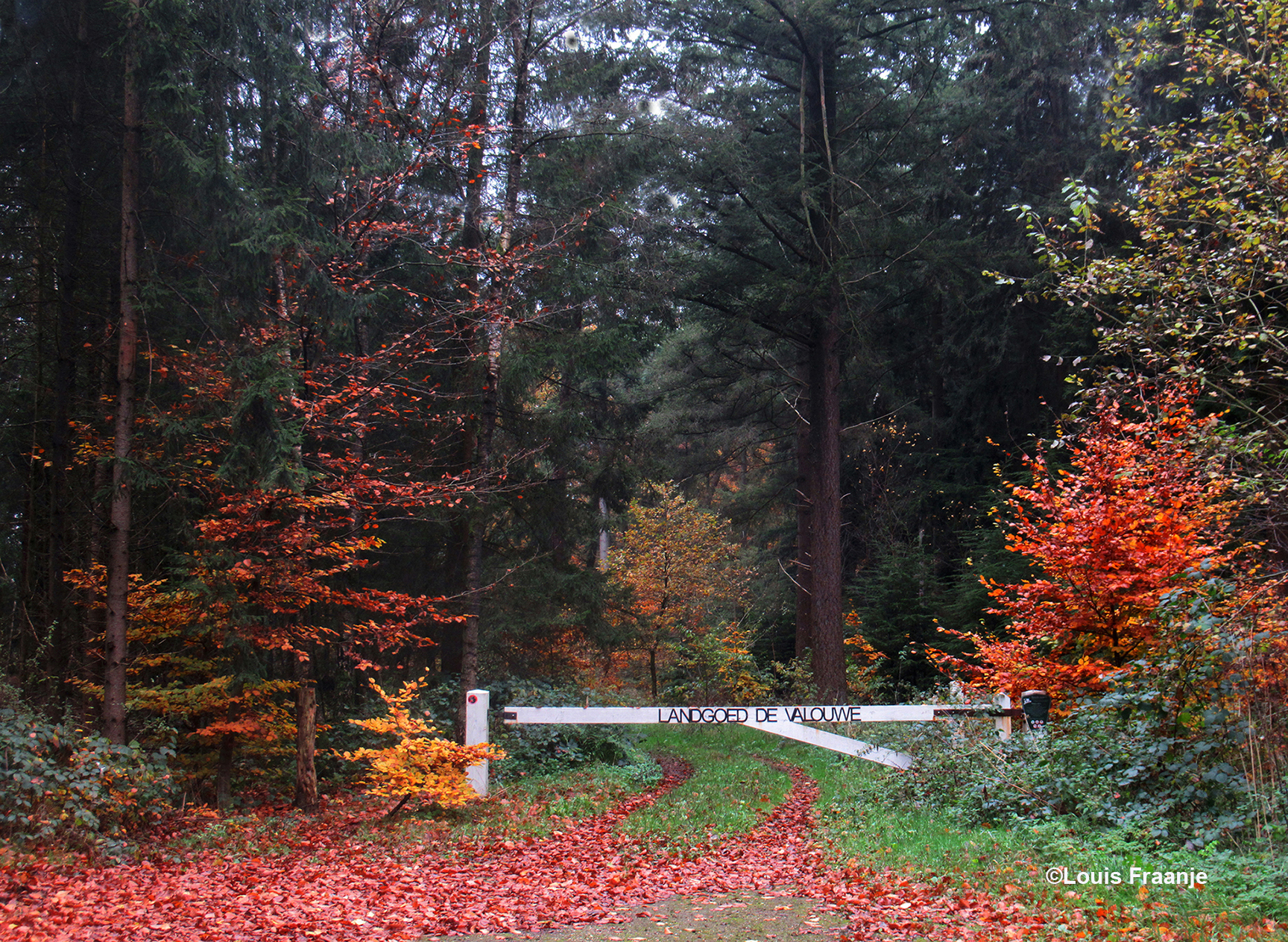 De slagboom bij Landgoed De Valouwe - Foto: ©Louis Fraanje