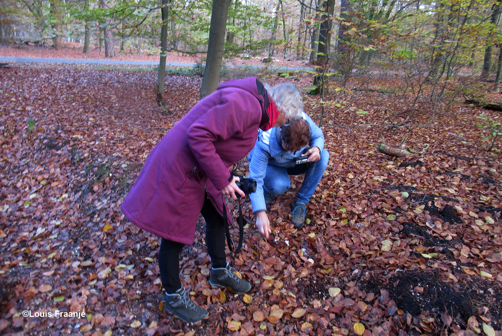 Soms moet je het wel heel laag bij de grond zoeken - Foto:  ©Louis Fraanje